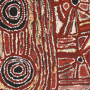 Aboriginal Art by Mary Napangardi Brown, Mina Mina Jukurrpa - Ngalyipi, 76x61cm - ART ARK®