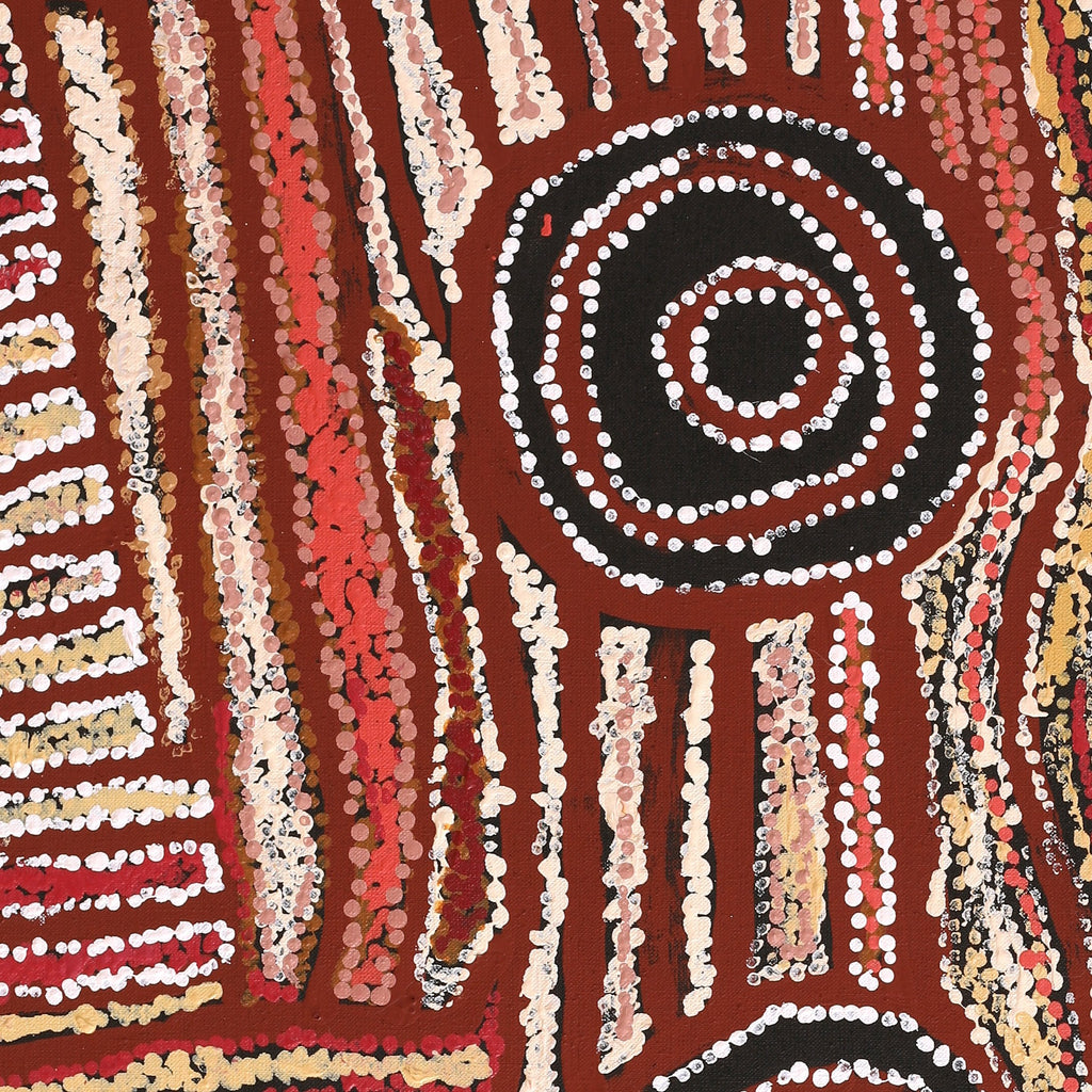 Aboriginal Art by Mary Napangardi Brown, Mina Mina Jukurrpa - Ngalyipi, 76x61cm - ART ARK®