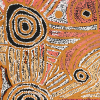 Aboriginal Artwork by Mary Napangardi Brown, Mina Mina Jukurrpa - Ngalyipi, 91x61cm