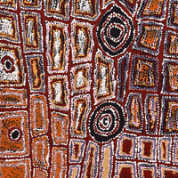 Aboriginal Artwork by Mary Napangardi Brown, Mina Mina Jukurrpa - Ngalyipi, 91x91cm