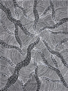 Aboriginal Artwork by Mary Napangardi Butcher, Pikilyi Jukurrpa, 61x46cm - ART ARK®