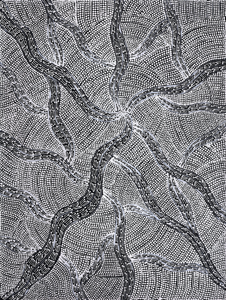 Aboriginal Artwork by Mary Napangardi Butcher, Pikilyi Jukurrpa, 61x46cm