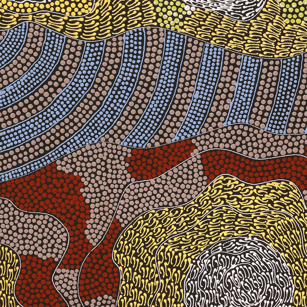 Aboriginal Artwork by Mary Napangardi Butcher, Pikilyi Jukurrpa, 76x46cm