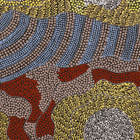 Aboriginal Artwork by Mary Napangardi Butcher, Pikilyi Jukurrpa, 76x46cm