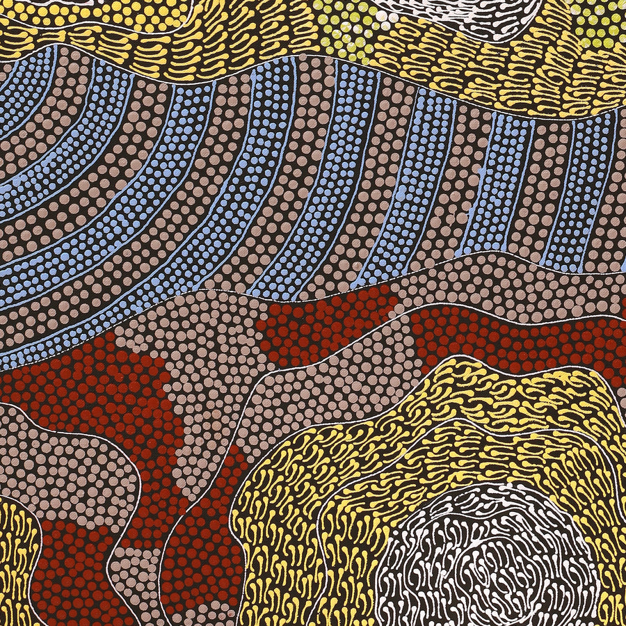 Aboriginal Artwork by Mary Napangardi Butcher, Pikilyi Jukurrpa, 76x46cm
