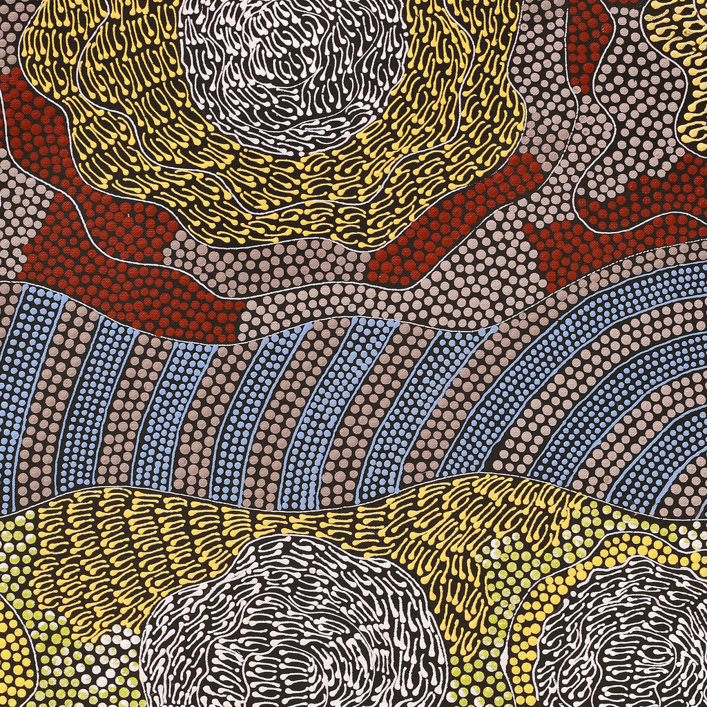 Aboriginal Artwork by Mary Napangardi Butcher, Pikilyi Jukurrpa, 76x46cm