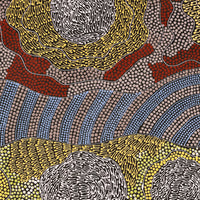 Aboriginal Artwork by Mary Napangardi Butcher, Pikilyi Jukurrpa, 76x46cm