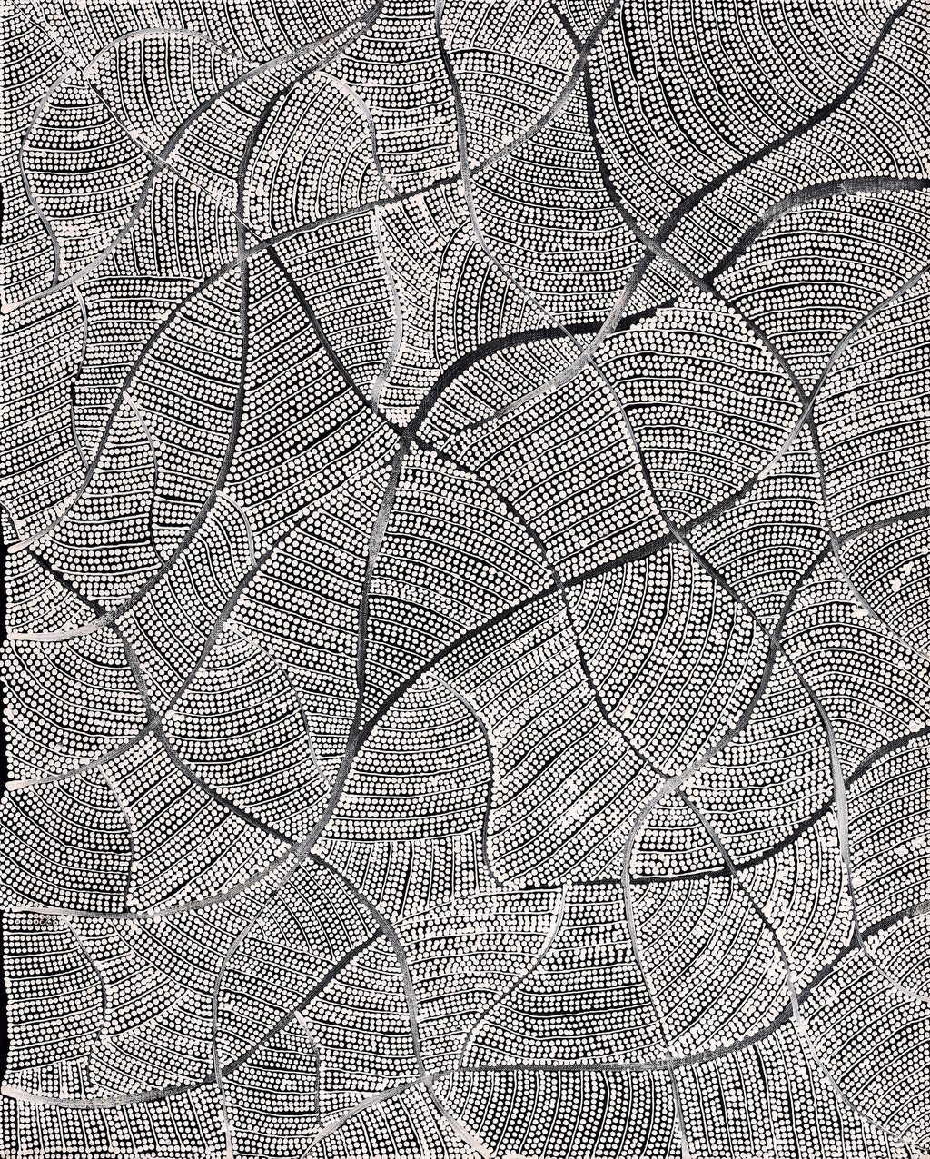 Aboriginal Artwork by Mary Napangardi Butcher, Pikilyi Jukurrpa, 76x61cm