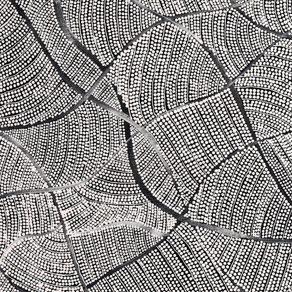 Aboriginal Artwork by Mary Napangardi Butcher, Pikilyi Jukurrpa, 76x61cm