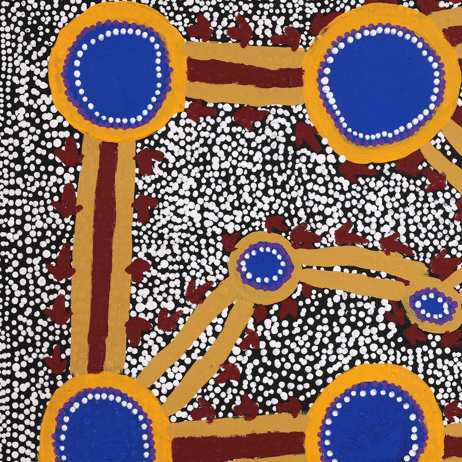 Aboriginal Artwork by Mathew Jupurrurla Gibson, Yankirri Jukurrpa (Emu Dreaming) - Ngarna, 76x46cm