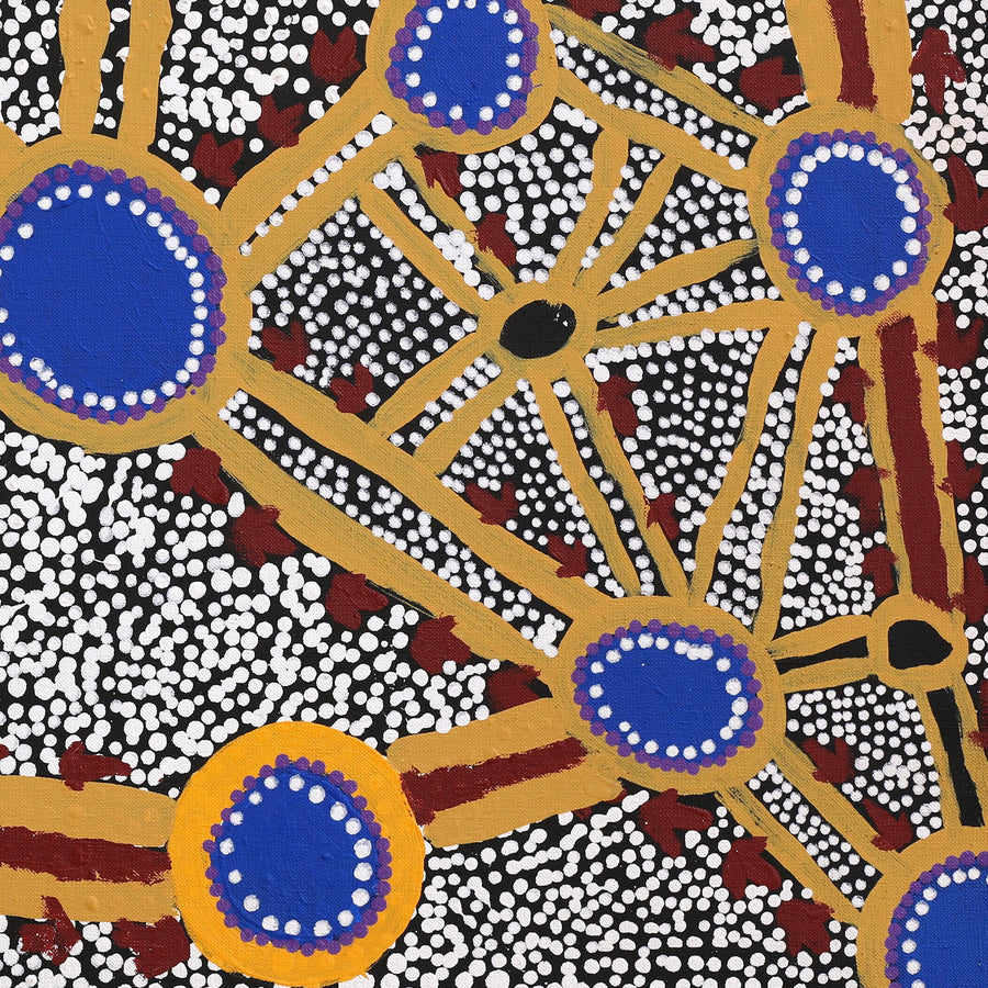 Aboriginal Artwork by Mathew Jupurrurla Gibson, Yankirri Jukurrpa (Emu Dreaming) - Ngarna, 76x46cm