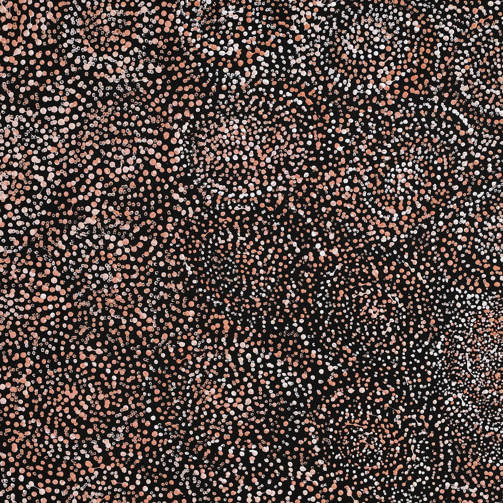Aboriginal Artwork by Melissa Nampijinpa Karpa, Ngapa Jukurrpa (Water Dreaming) - Puyurru, 76x61cm