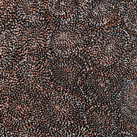 Aboriginal Artwork by Melissa Nampijinpa Karpa, Ngapa Jukurrpa (Water Dreaming) - Puyurru, 76x61cm