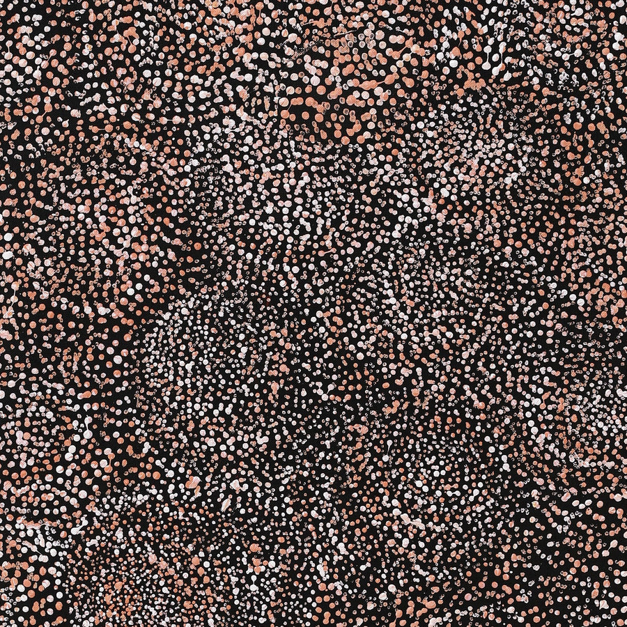 Aboriginal Artwork by Melissa Nampijinpa Karpa, Ngapa Jukurrpa (Water Dreaming) - Puyurru, 76x61cm
