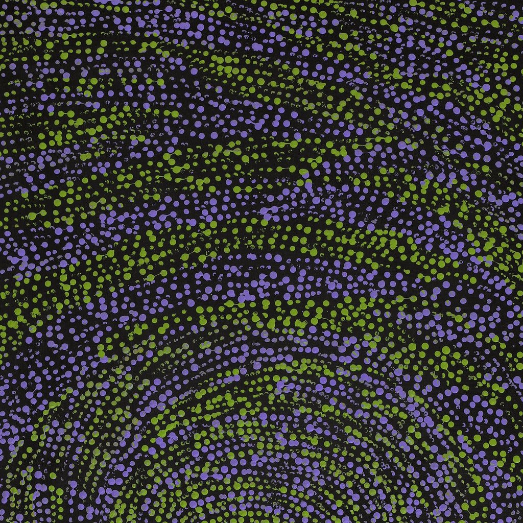 Aboriginal Artwork by Melissa Nampijinpa Karpa, Ngapa Jukurrpa (Water Dreaming) - Puyurru, 91x46cm