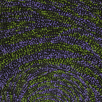 Aboriginal Artwork by Melissa Nampijinpa Karpa, Ngapa Jukurrpa (Water Dreaming) - Puyurru, 91x46cm