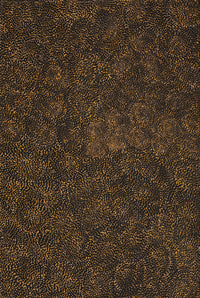 Aboriginal Artwork by Melissa Nampijinpa Karpa, Ngapa Jukurrpa (Water Dreaming) - Puyurru, 91x61cm