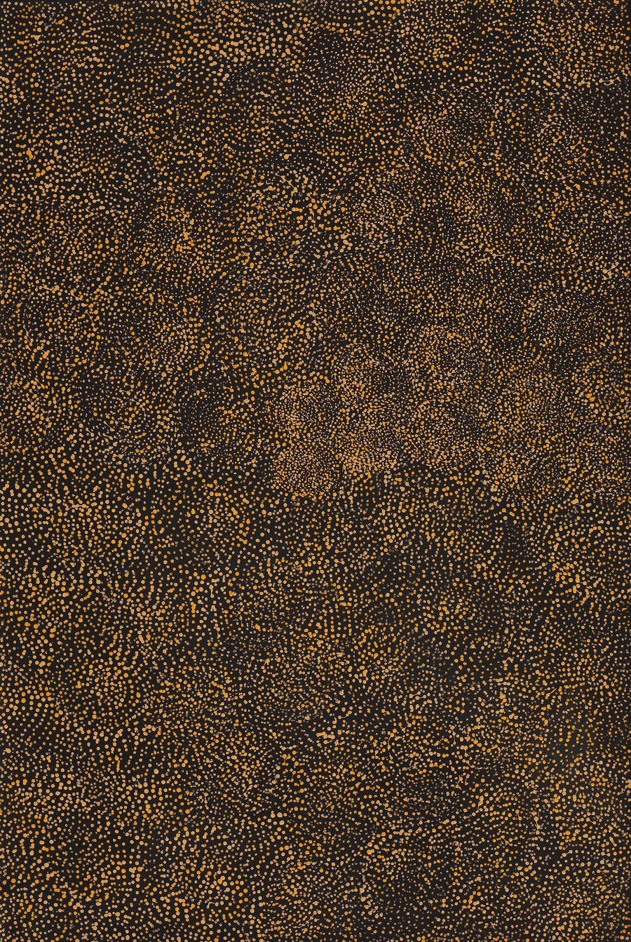 Aboriginal Artwork by Melissa Nampijinpa Karpa, Ngapa Jukurrpa (Water Dreaming) - Puyurru, 91x61cm