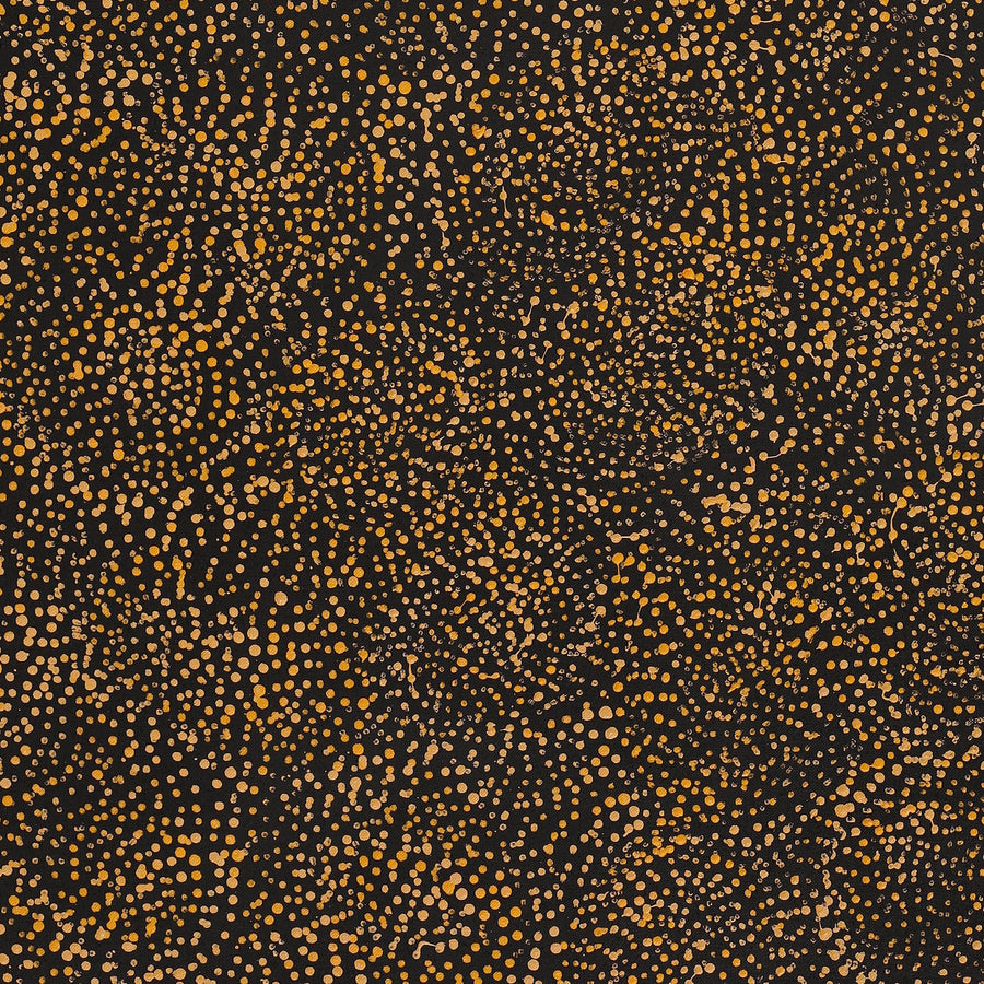 Aboriginal Artwork by Melissa Nampijinpa Karpa, Ngapa Jukurrpa (Water Dreaming) - Puyurru, 91x61cm