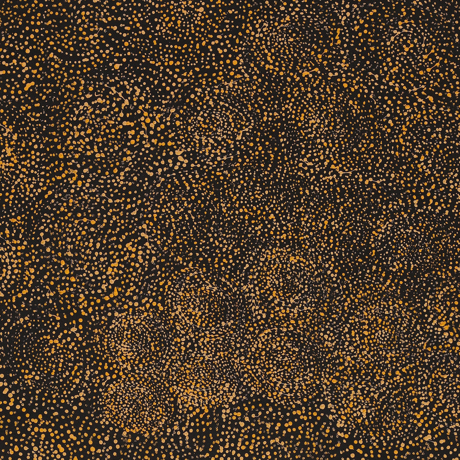 Aboriginal Artwork by Melissa Nampijinpa Karpa, Ngapa Jukurrpa (Water Dreaming) - Puyurru, 91x61cm