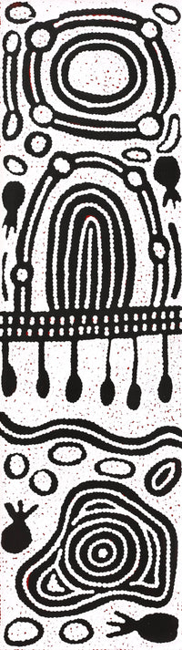 Aboriginal Artwork by Melissa Nungarrayi Larry, Yumari Jukurrpa (Yumari Dreaming), 107x30cm