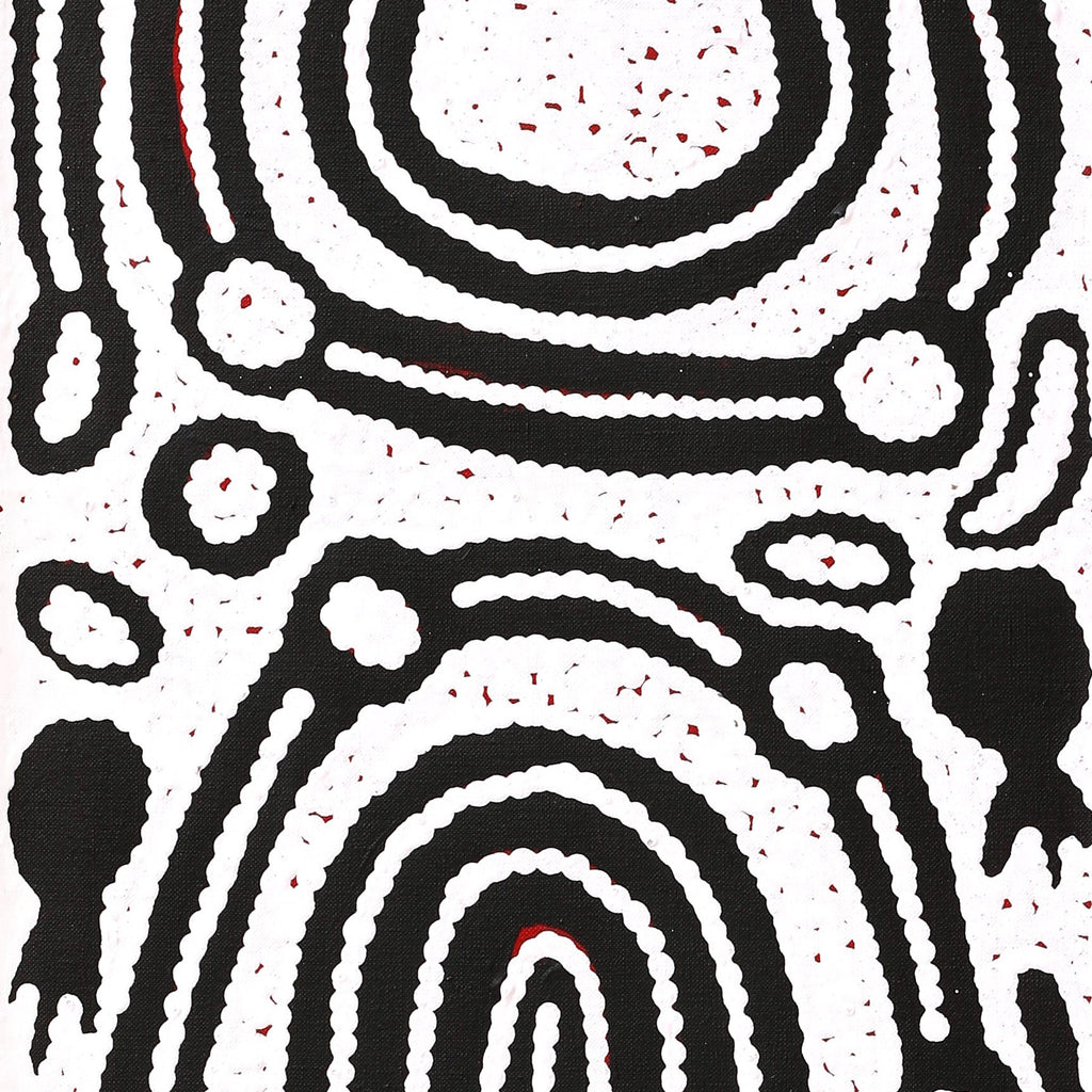 Aboriginal Artwork by Melissa Nungarrayi Larry, Yumari Jukurrpa (Yumari Dreaming), 107x30cm
