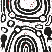 Aboriginal Artwork by Melissa Nungarrayi Larry, Yumari Jukurrpa (Yumari Dreaming), 107x30cm