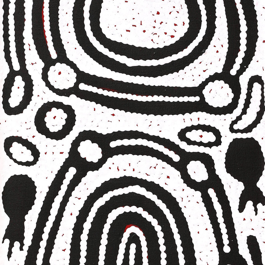 Aboriginal Artwork by Melissa Nungarrayi Larry, Yumari Jukurrpa (Yumari Dreaming), 107x30cm