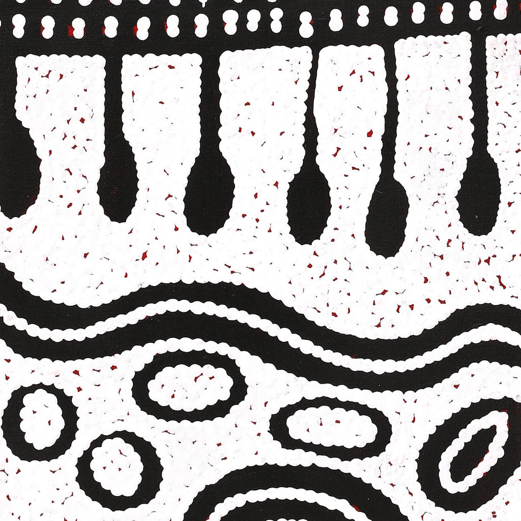 Aboriginal Artwork by Melissa Nungarrayi Larry, Yumari Jukurrpa (Yumari Dreaming), 107x30cm