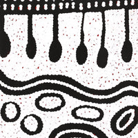 Aboriginal Artwork by Melissa Nungarrayi Larry, Yumari Jukurrpa (Yumari Dreaming), 107x30cm