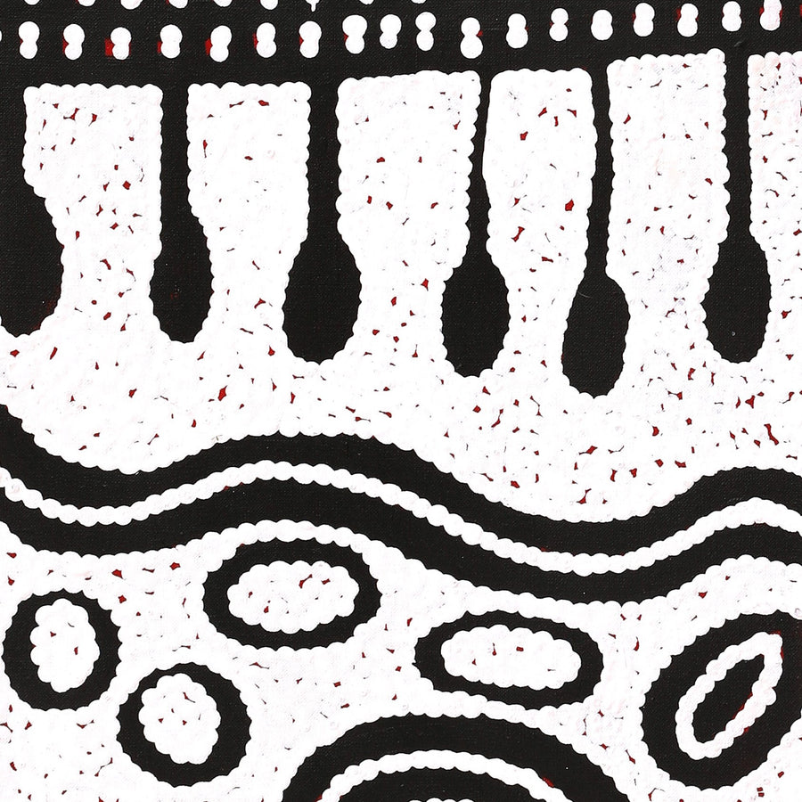 Aboriginal Artwork by Melissa Nungarrayi Larry, Yumari Jukurrpa (Yumari Dreaming), 107x30cm