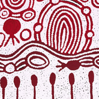 Aboriginal Artwork by Melissa Nungarrayi Larry, Yumari Jukurrpa (Yumari Dreaming), 91x46cm