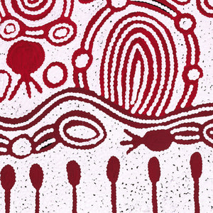 Aboriginal Artwork by Melissa Nungarrayi Larry, Yumari Jukurrpa (Yumari Dreaming), 91x46cm - ART ARK®