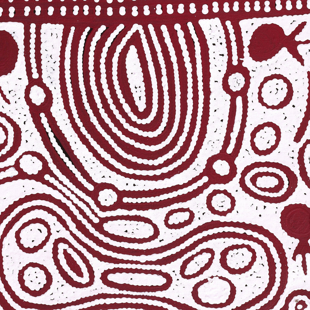 Aboriginal Artwork by Melissa Nungarrayi Larry, Yumari Jukurrpa (Yumari Dreaming), 91x46cm
