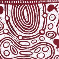 Aboriginal Artwork by Melissa Nungarrayi Larry, Yumari Jukurrpa (Yumari Dreaming), 91x46cm