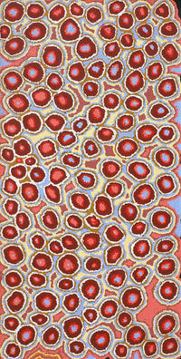Aboriginal Artwork by Pamela Napurrurla Walker, Janganpa Jukurrpa (Brush-tail Possum Dreaming) - Mawurrji, 91x46cm