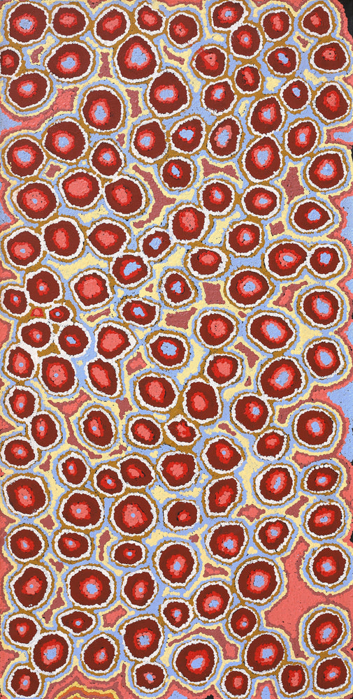 Aboriginal Artwork by Pamela Napurrurla Walker, Janganpa Jukurrpa (Brush-tail Possum Dreaming) - Mawurrji, 91x46cm