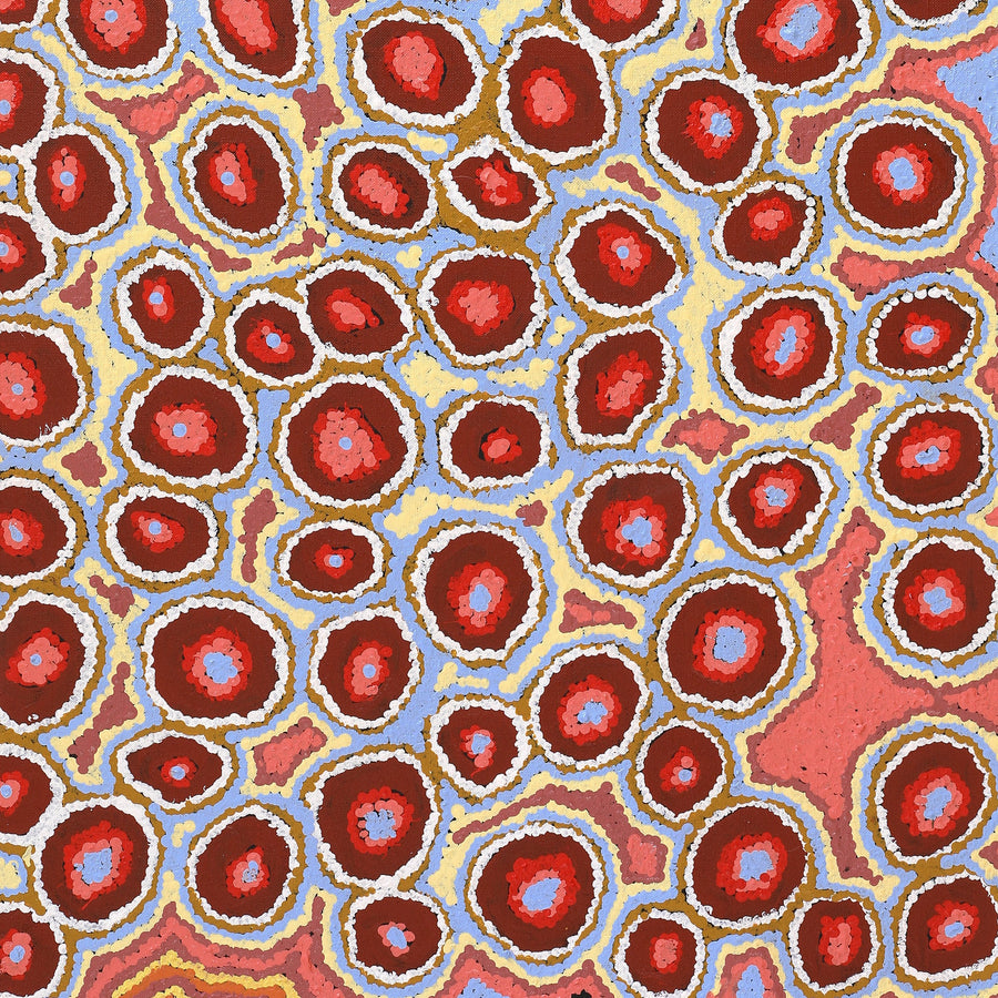 Aboriginal Artwork by Pamela Napurrurla Walker, Janganpa Jukurrpa (Brush-tail Possum Dreaming) - Mawurrji, 91x46cm