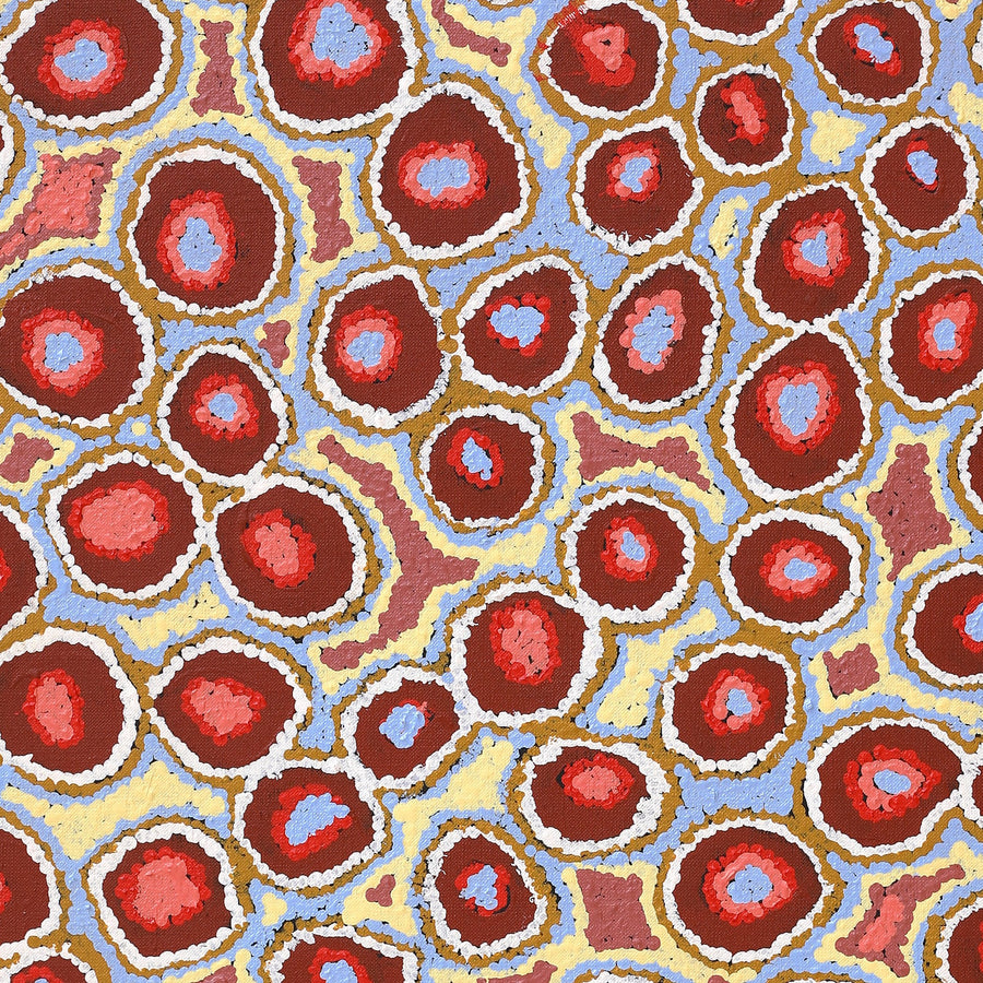 Aboriginal Artwork by Pamela Napurrurla Walker, Janganpa Jukurrpa (Brush-tail Possum Dreaming) - Mawurrji, 91x46cm