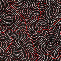 Aboriginal Artwork by Patrick Japangardi Williams, Mina Mina Jukurrpa (Mina Mina Dreaming), 122x61cm