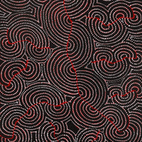 Aboriginal Artwork by Patrick Japangardi Williams, Mina Mina Jukurrpa (Mina Mina Dreaming), 122x61cm