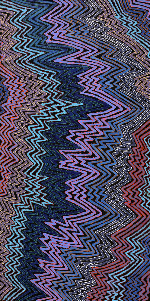 Aboriginal Artwork by Pauline Napangardi Gallagher, Lukarrara Jukurrpa, 183x91cm