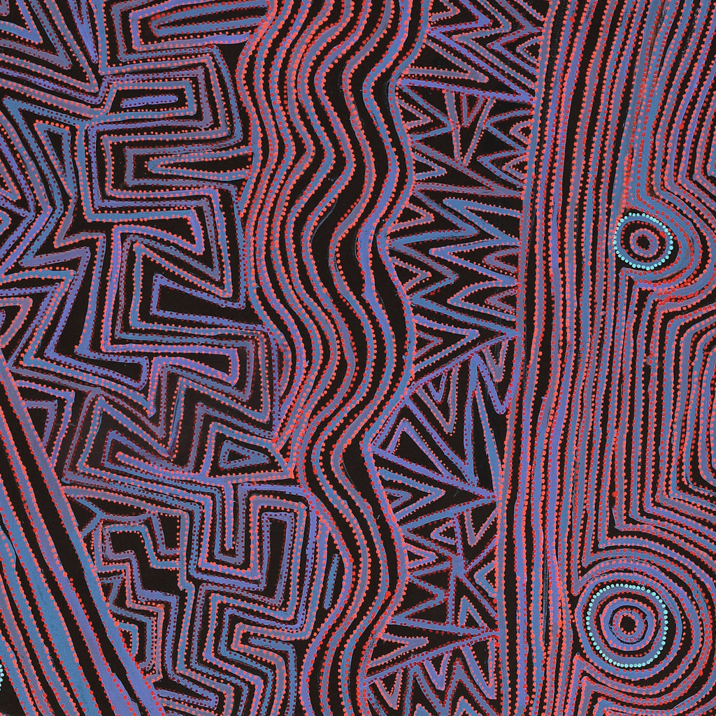 Aboriginal Artwork by Pauline Napangardi Gallagher, Mina Mina Jukurrpa, 183x76cm