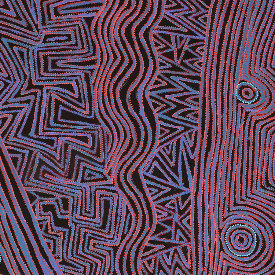 Aboriginal Artwork by Pauline Napangardi Gallagher, Mina Mina Jukurrpa, 183x76cm