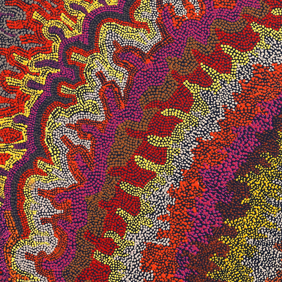 Aboriginal Artwork by Peggy Napurrurla Granites, Pirlarla Jukurrpa (Dogwood Tree Bean Dreaming), 107x61cm