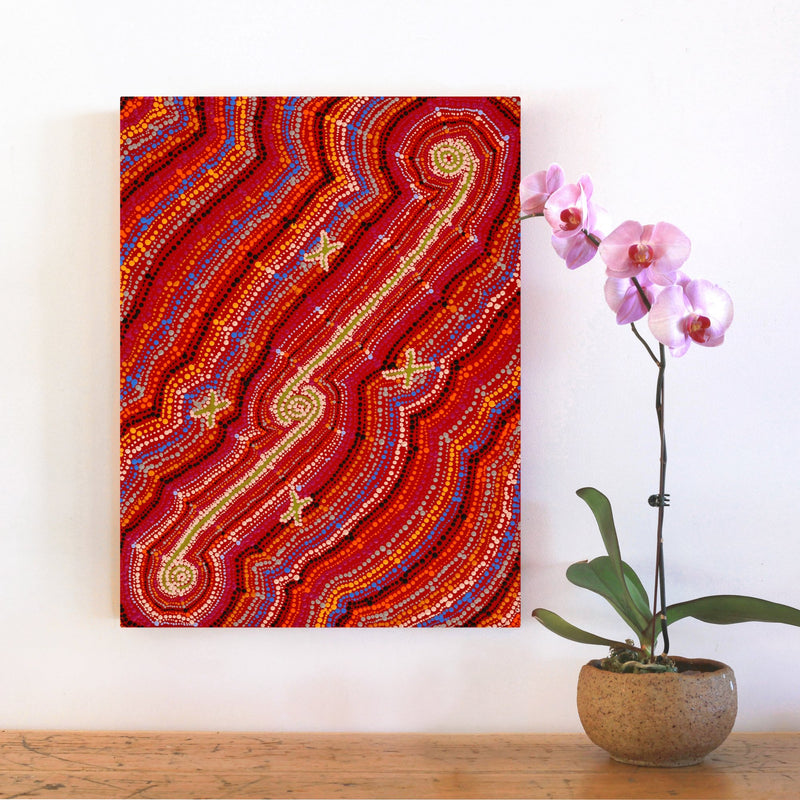 Aboriginal Artwork by Peggy Napurrurla Granites, Pirlarla Jukurrpa (Dogwood Tree Bean Dreaming), 61x46cm