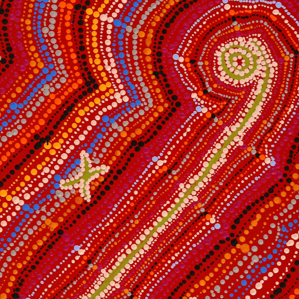 Aboriginal Artwork by Peggy Napurrurla Granites, Pirlarla Jukurrpa (Dogwood Tree Bean Dreaming), 61x46cm