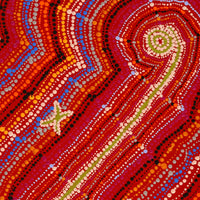 Aboriginal Artwork by Peggy Napurrurla Granites, Pirlarla Jukurrpa (Dogwood Tree Bean Dreaming), 61x46cm