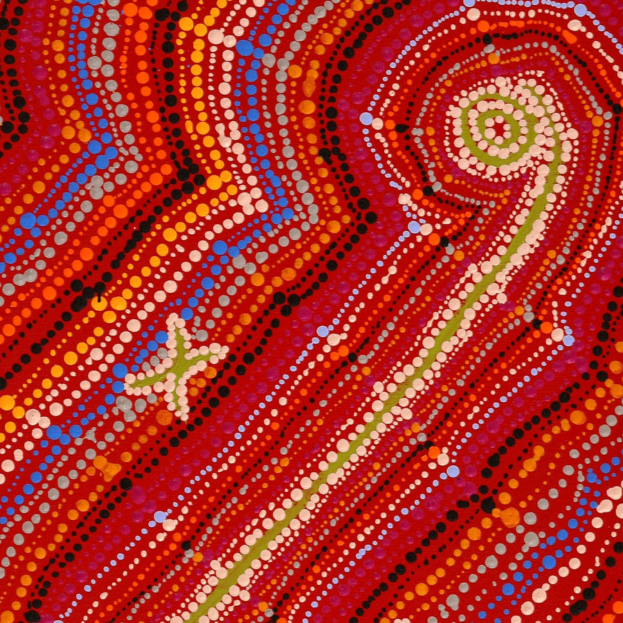 Aboriginal Artwork by Peggy Napurrurla Granites, Pirlarla Jukurrpa (Dogwood Tree Bean Dreaming), 61x46cm