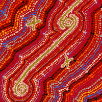 Aboriginal Artwork by Peggy Napurrurla Granites, Pirlarla Jukurrpa (Dogwood Tree Bean Dreaming), 61x46cm